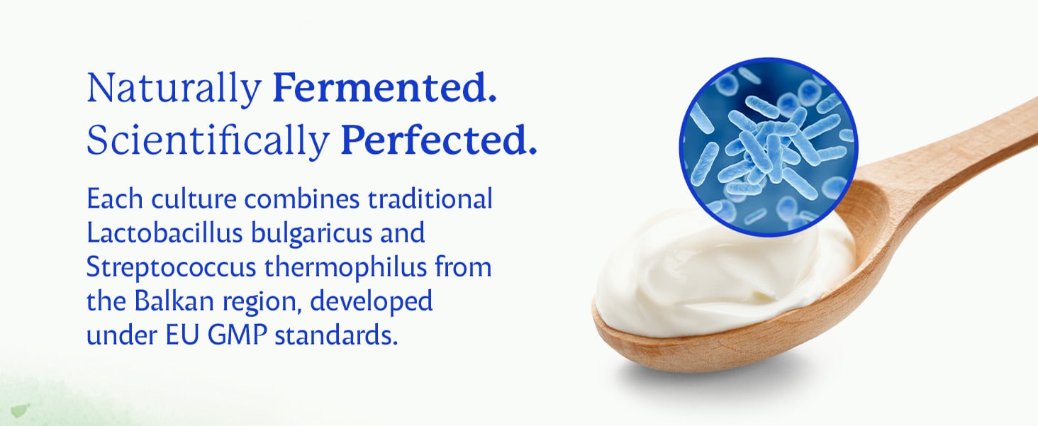 Naturally fermented: each culture combines traditional Lactobacillus bulgaricus and Streptococcus thermophilus from the Balkan region, developed under EU GMP standards.